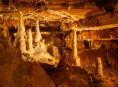 /album/balcarka-brunn/p5222980-kopie-jpg/